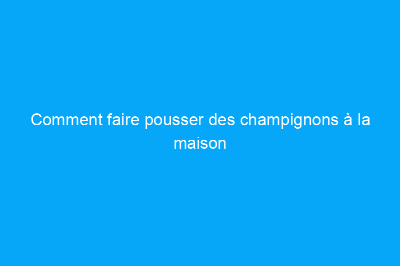 Comment faire pousser des champignons à la maison