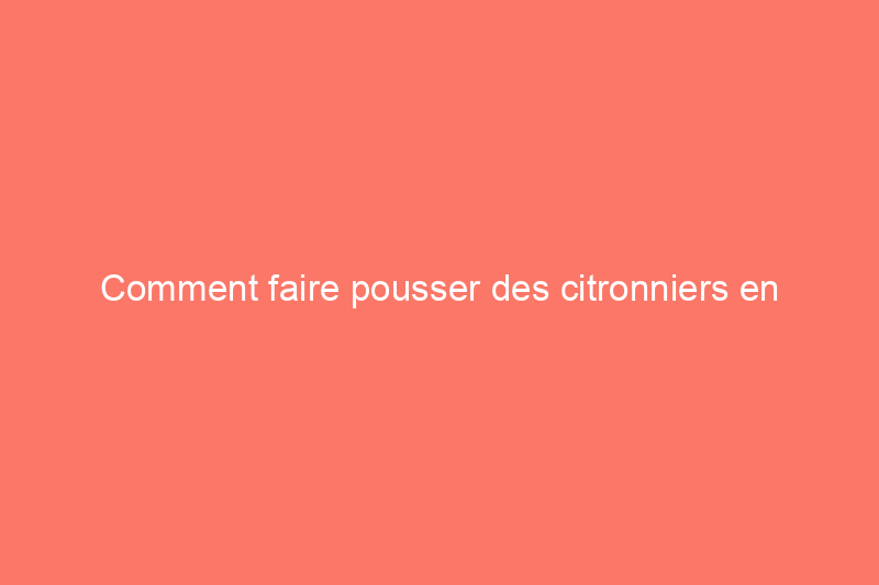 Comment faire pousser des citronniers en intérieur