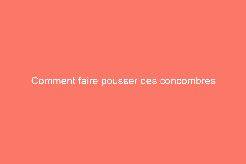 Comment faire pousser des concombres