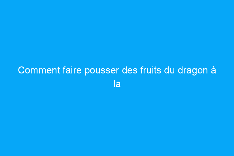 Comment faire pousser des fruits du dragon à la maison