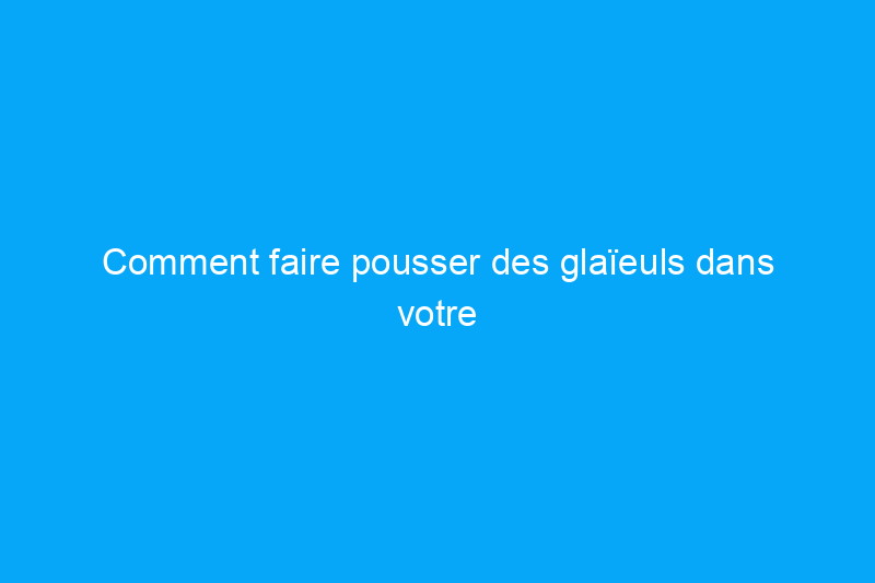 Comment faire pousser des glaïeuls dans votre jardin