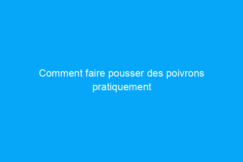 Comment faire pousser des poivrons pratiquement n’importe où