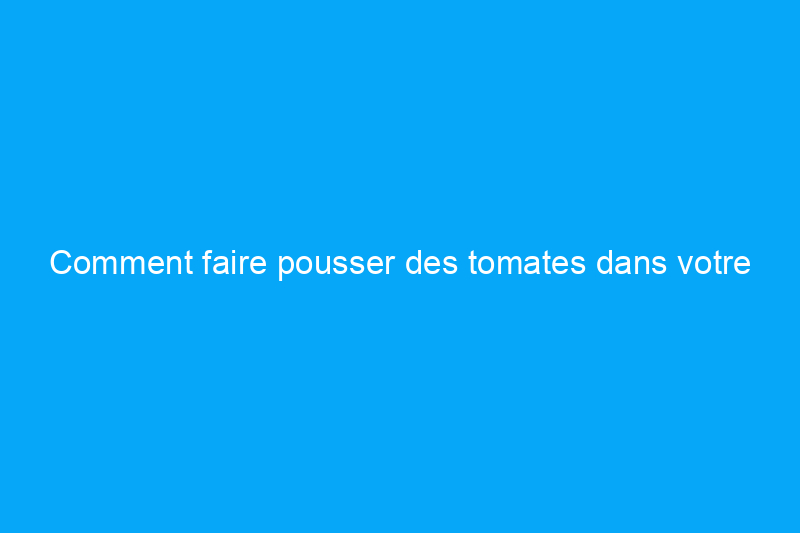 Comment faire pousser des tomates dans votre jardin, peu importe où vous vivez