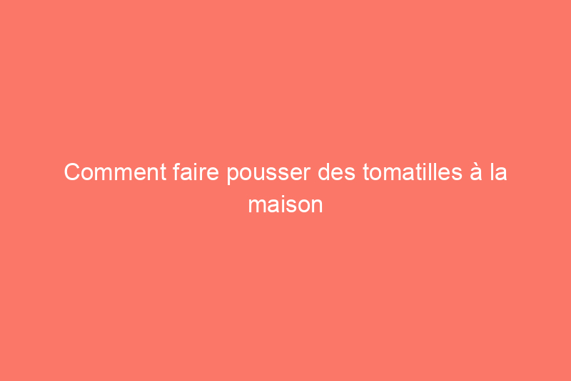 Comment faire pousser des tomatilles à la maison (indice : vous aurez besoin d'au moins 2 plantes)