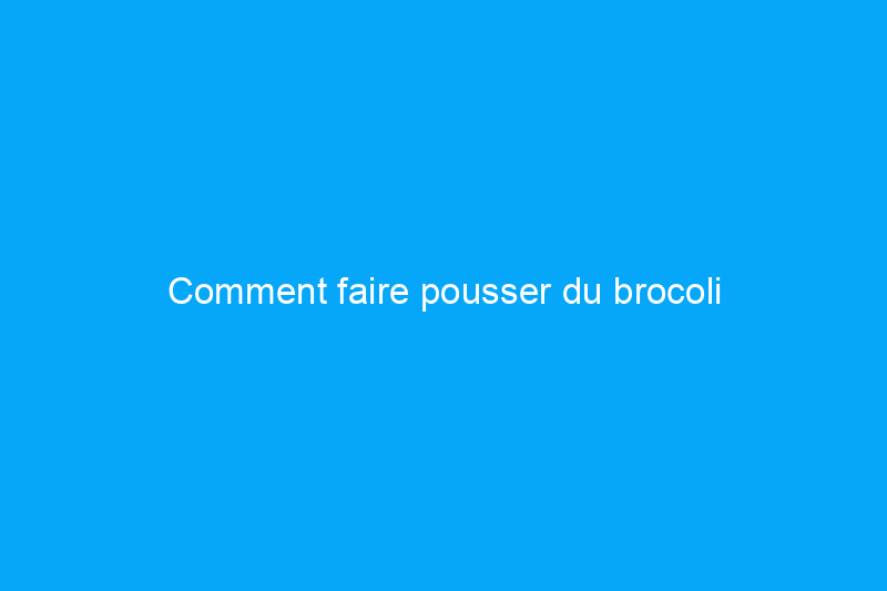 Comment faire pousser du brocoli