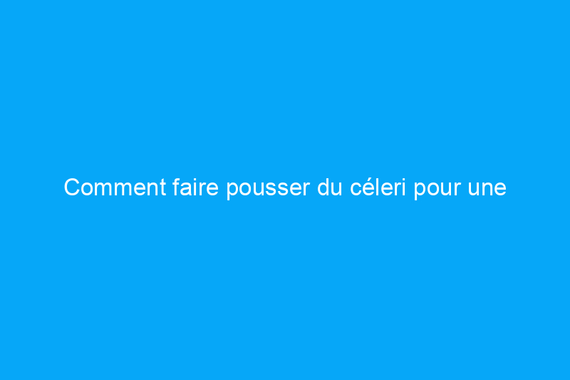 Comment faire pousser du céleri pour une récolte continue tout au long de la saison