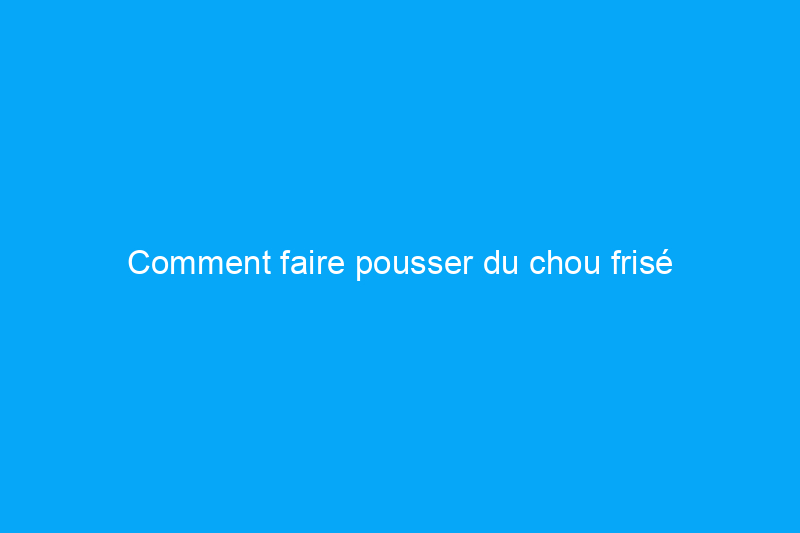 Comment faire pousser du chou frisé