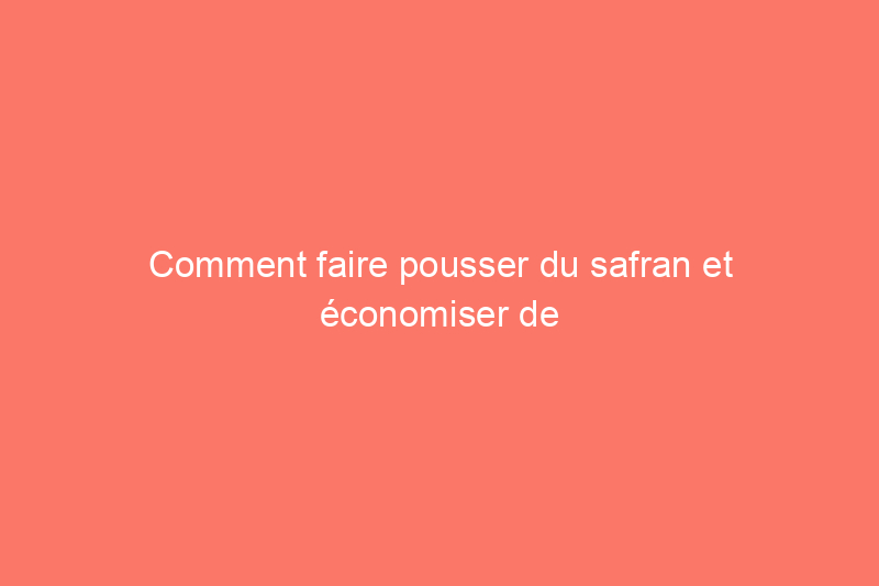 Comment faire pousser du safran et économiser de l’argent en achetant cette épice