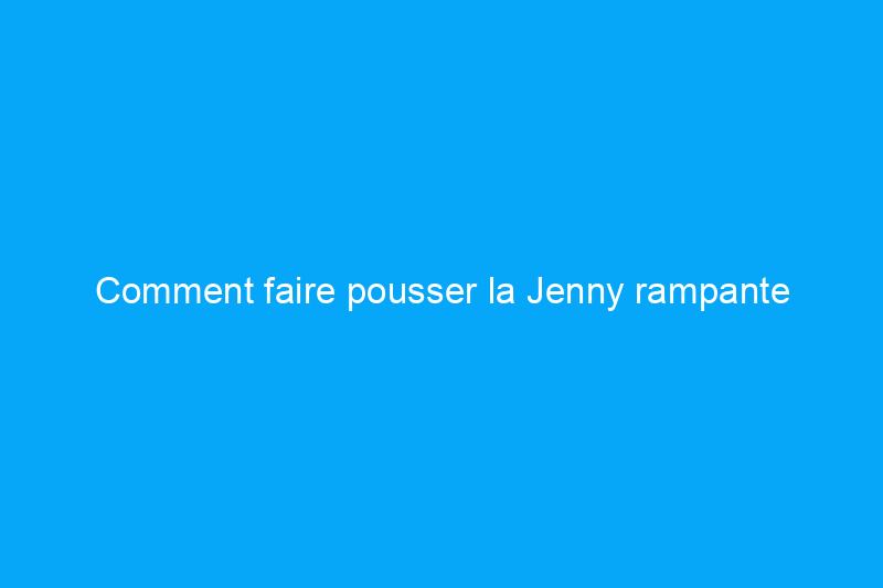 Comment faire pousser la Jenny rampante