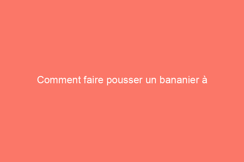 Comment faire pousser un bananier à l'intérieur