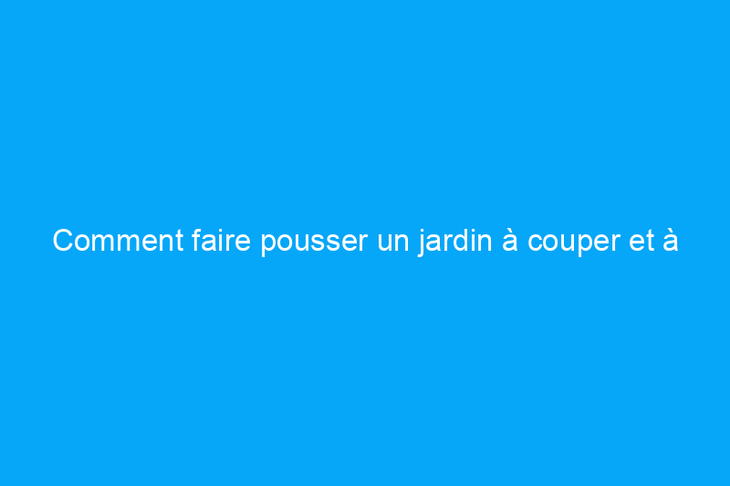 Comment faire pousser un jardin à couper et à repousser pour un approvisionnement infini de légumes frais, d'herbes et de fleurs tout au long de la saison