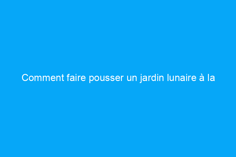 Comment faire pousser un jardin lunaire à la maison