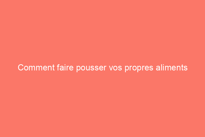 Comment faire pousser vos propres aliments