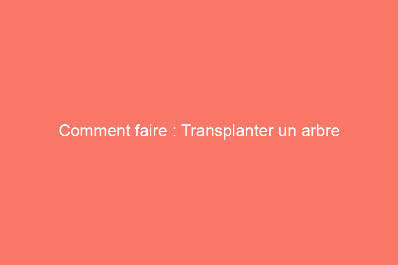 Comment faire : Transplanter un arbre