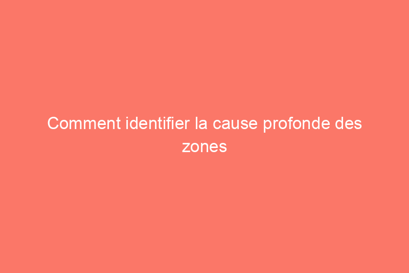 Comment identifier la cause profonde des zones dénudées dans une pelouse et réparer l'herbe disgracieuse et inégale