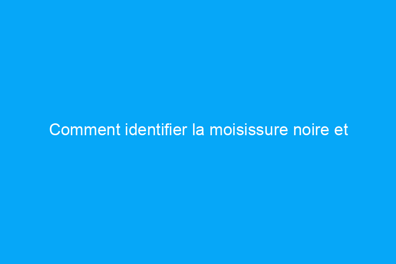 Comment identifier la moisissure noire et s'en débarrasser définitivement