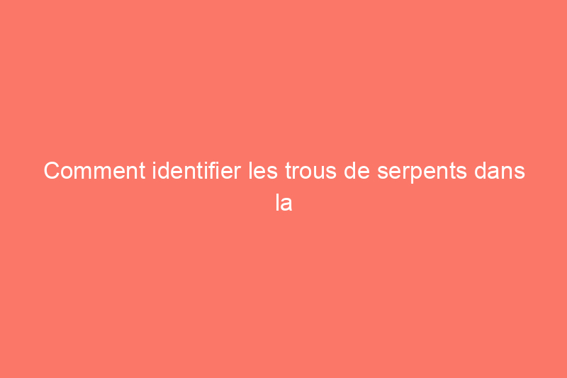 Comment identifier les trous de serpents dans la cour et que faire à leur sujet