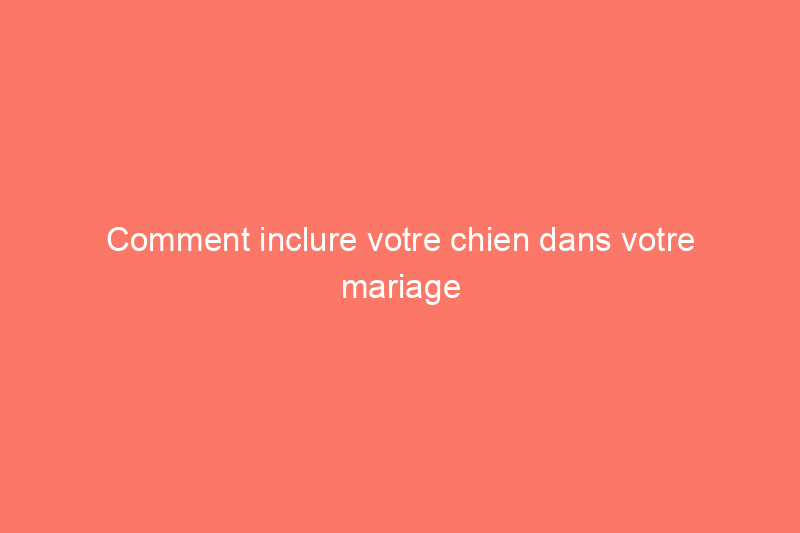 Comment inclure votre chien dans votre mariage sans le stresser (ni vous-même)