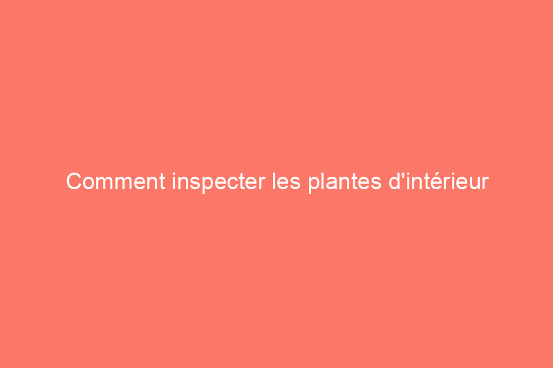 Comment inspecter les plantes d'intérieur pour ne pas ramener à la maison un spécimen malsain ou infesté