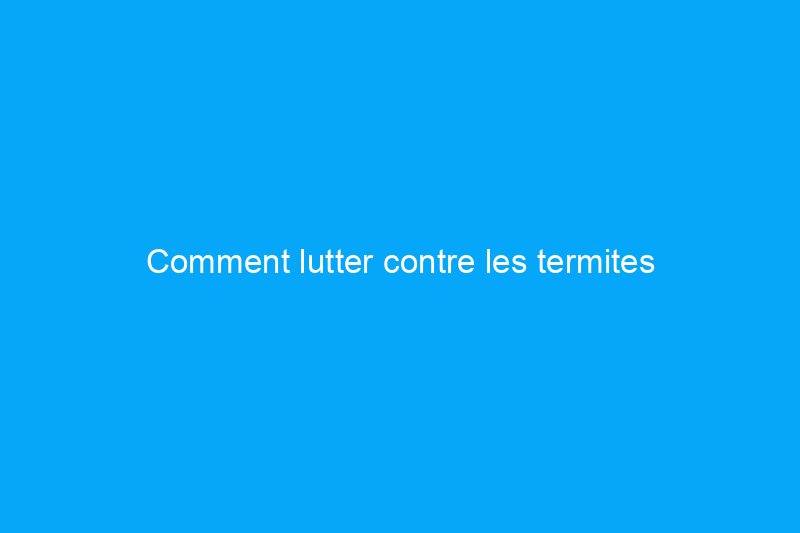 Comment lutter contre les termites