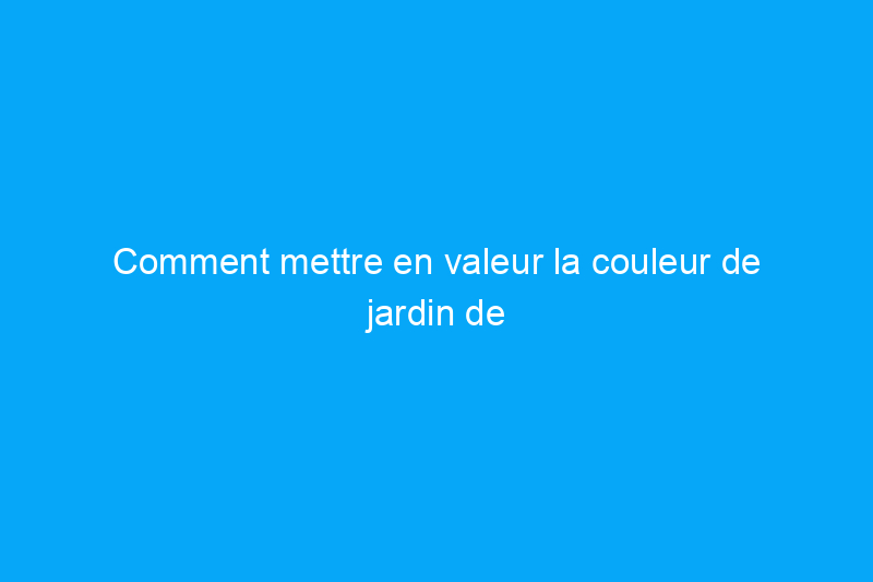 Comment mettre en valeur la couleur de jardin de l'année 2025 dans votre jardin