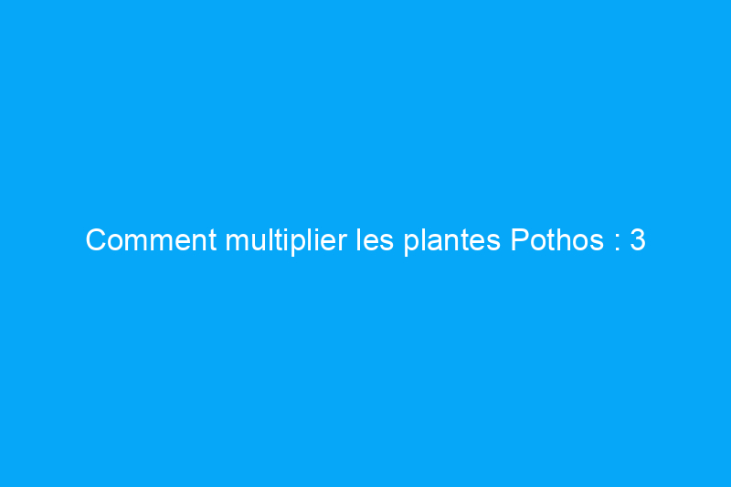 Comment multiplier les plantes Pothos : 3 méthodes infaillibles, selon les experts