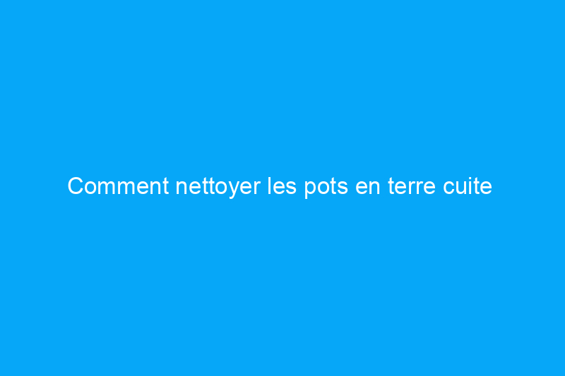 Comment nettoyer les pots en terre cuite 