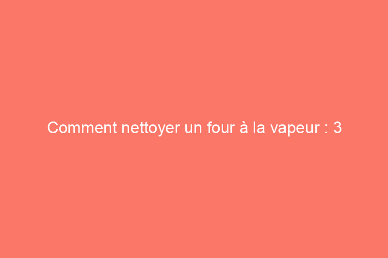 Comment nettoyer un four à la vapeur : 3 méthodes infaillibles pour se débarrasser des saletés incrustées