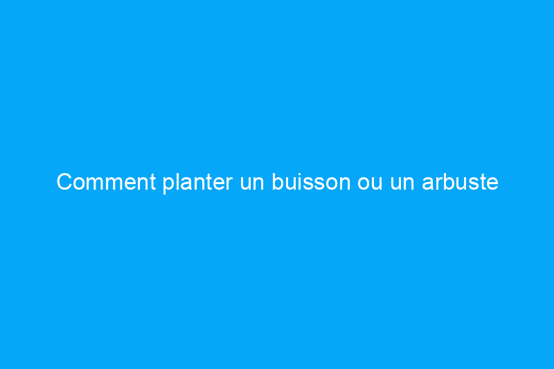 Comment planter un buisson ou un arbuste