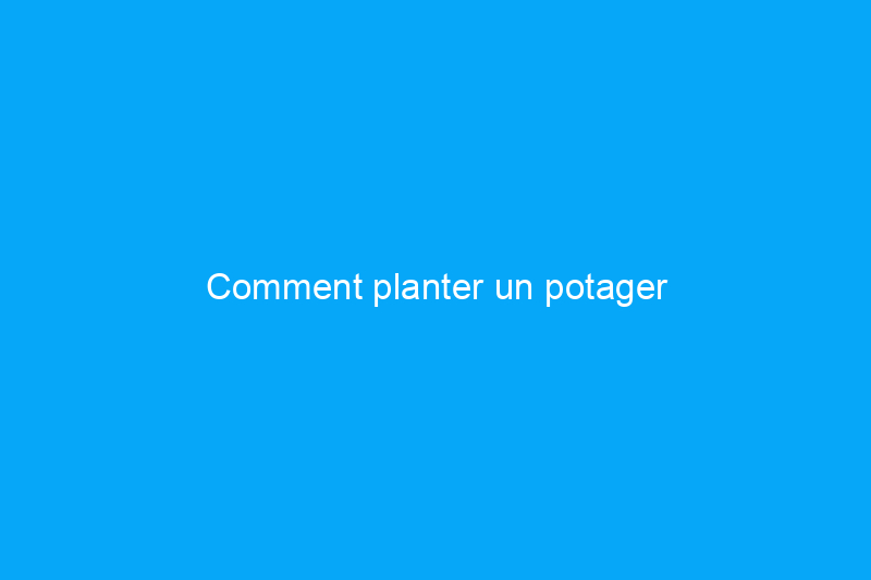 Comment planter un potager