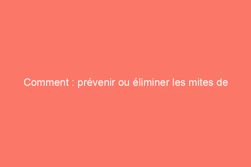 Comment : prévenir ou éliminer les mites de placard