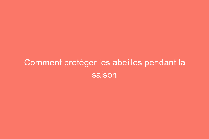 Comment protéger les abeilles pendant la saison des essaims