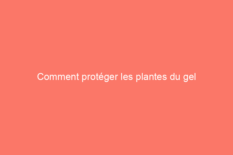 Comment protéger les plantes du gel