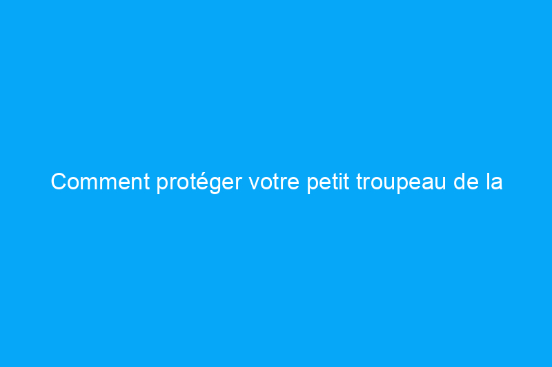 Comment protéger votre petit troupeau de la grippe aviaire mortelle