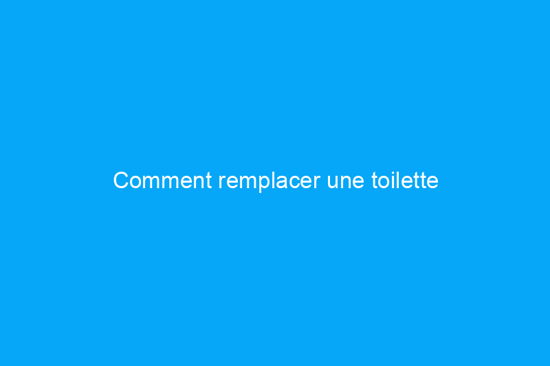 Comment remplacer une toilette