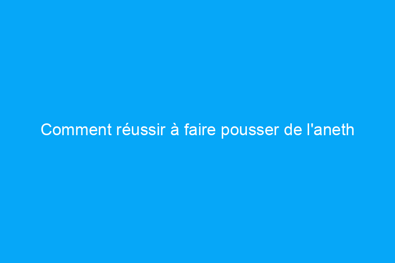 Comment réussir à faire pousser de l'aneth dans votre jardin