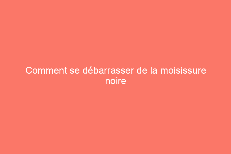 Comment se débarrasser de la moisissure noire dans votre maison