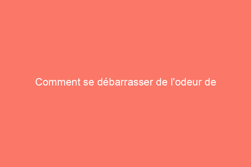 Comment se débarrasser de l'odeur de peinture