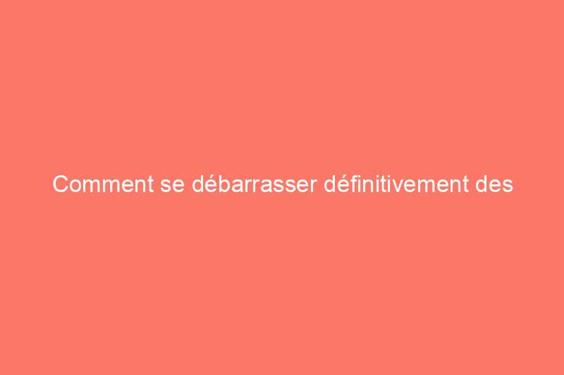 Comment se débarrasser définitivement des guêpes jaunes en 7 étapes simples