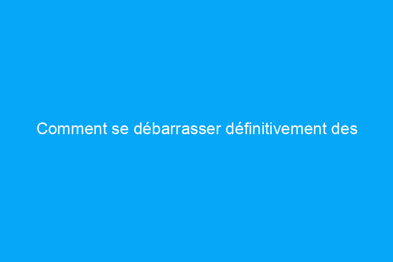 Comment se débarrasser définitivement des moustiques invisibles en seulement 8 étapes