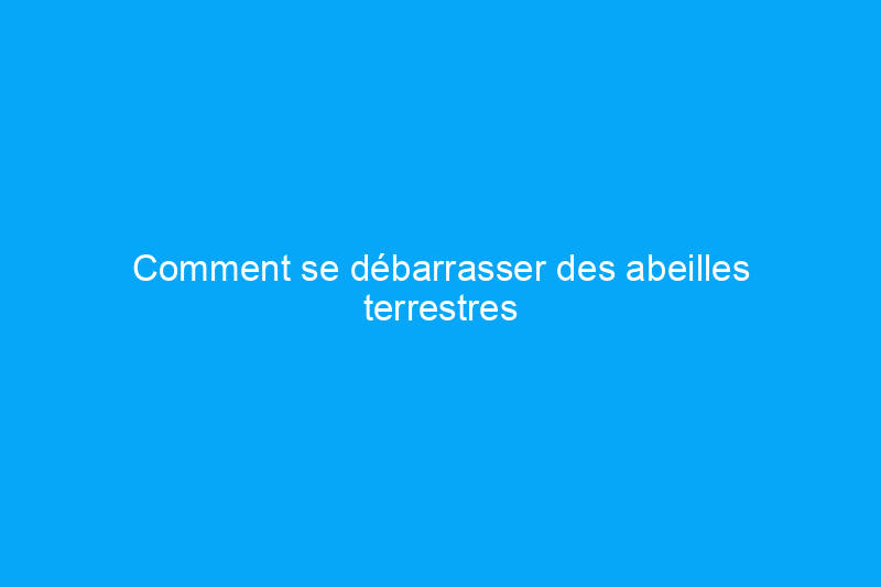 Comment se débarrasser des abeilles terrestres dans votre jardin en 5 étapes