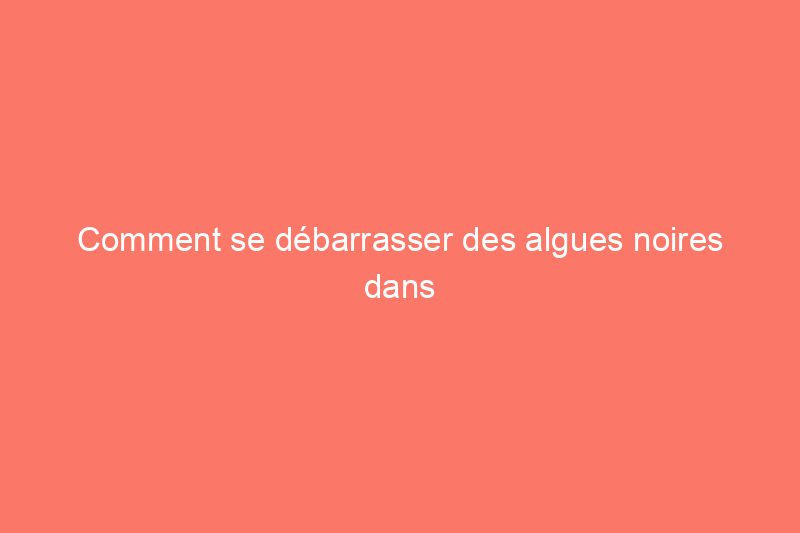 Comment se débarrasser des algues noires dans votre piscine (et les empêcher de revenir)