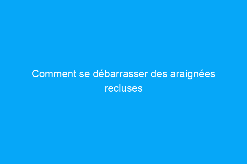 Comment se débarrasser des araignées recluses brunes