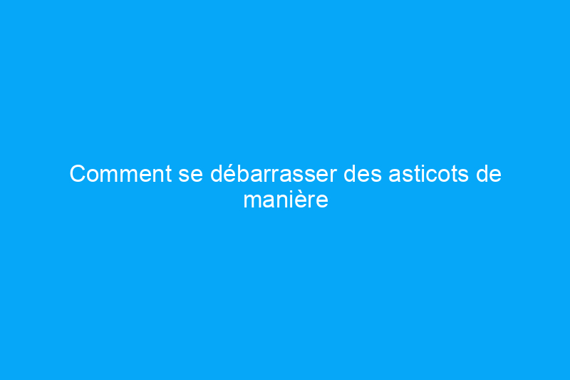 Comment se débarrasser des asticots de manière naturelle