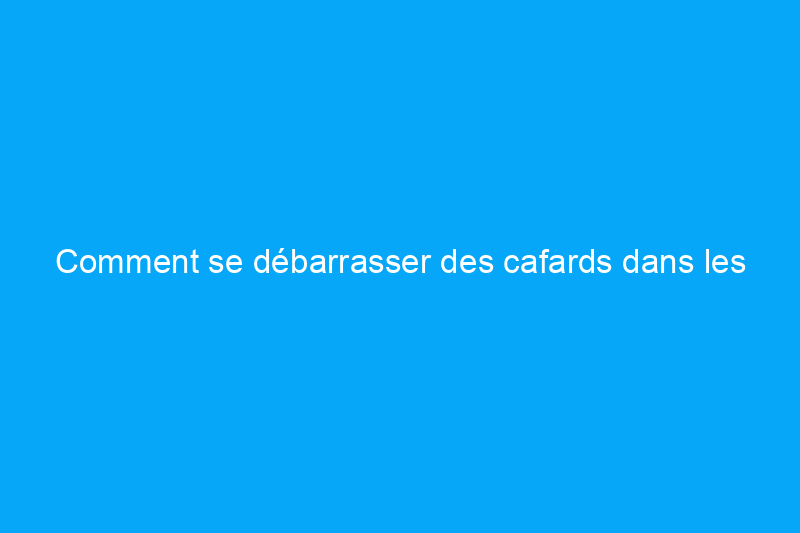 Comment se débarrasser des cafards dans les armoires de cuisine