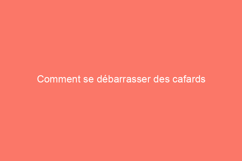 Comment se débarrasser des cafards