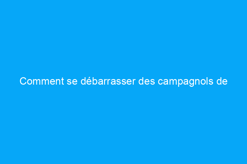 Comment se débarrasser des campagnols de manière humaine en 7 étapes