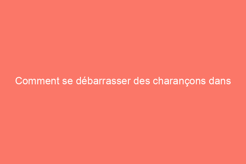 Comment se débarrasser des charançons dans votre garde-manger