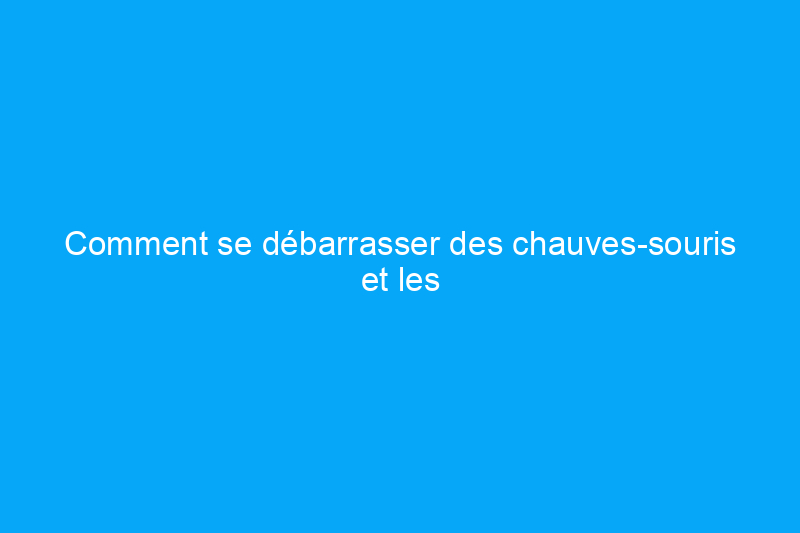 Comment se débarrasser des chauves-souris et les éloigner pour de bon