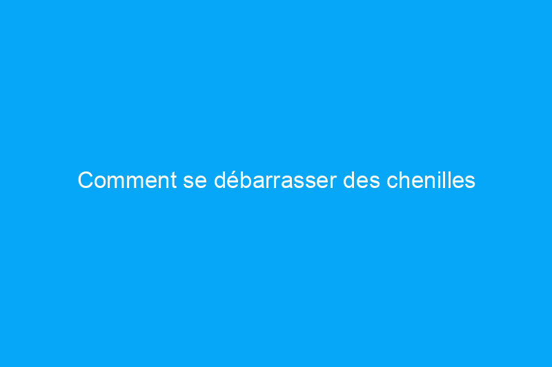 Comment se débarrasser des chenilles légionnaires